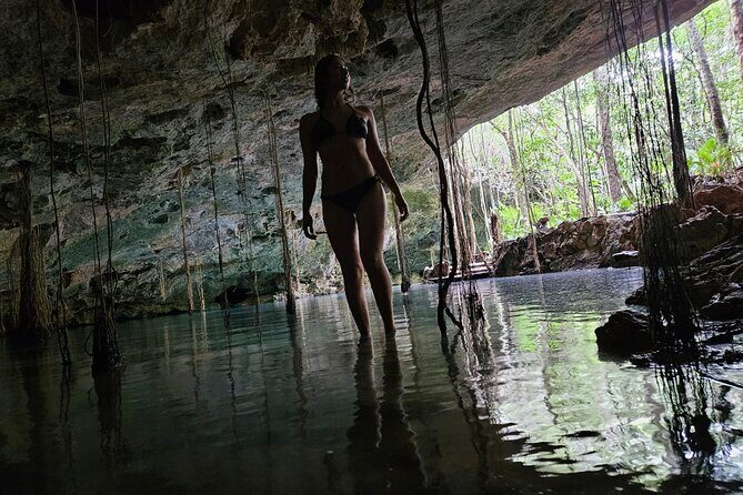 Private experience 5 cenotes at Riviera Maya - Introduction