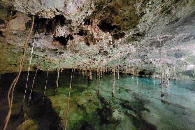 Private experience 5 cenotes at Riviera Maya - Who Is This Tour Best For?