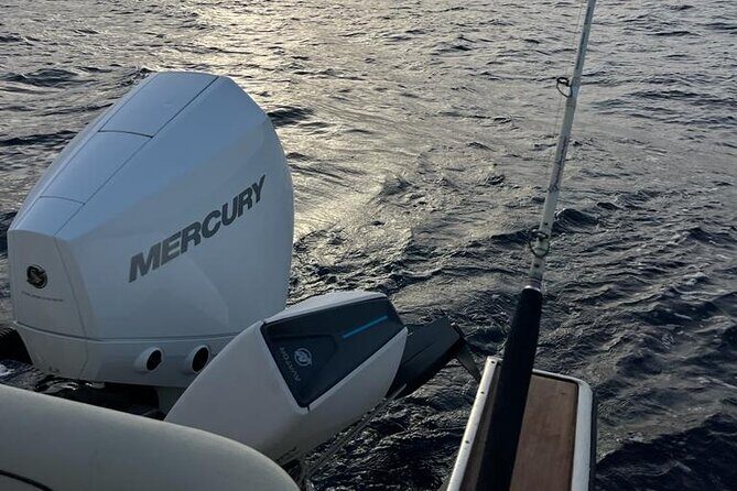 Private Experience - day of fishing on the Bari coast - Key Points