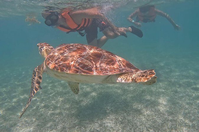 Private Experience in Akumal with Snorkeling - FAQ About the Akumal Snorkeling Tour