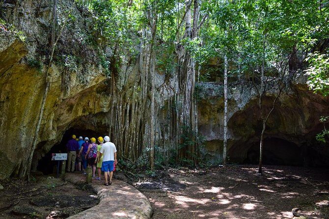 Private Exploring Tour in Green Grotto Caves and Rafting on the Martha Brae - A Detailed Look at the Tour Experience