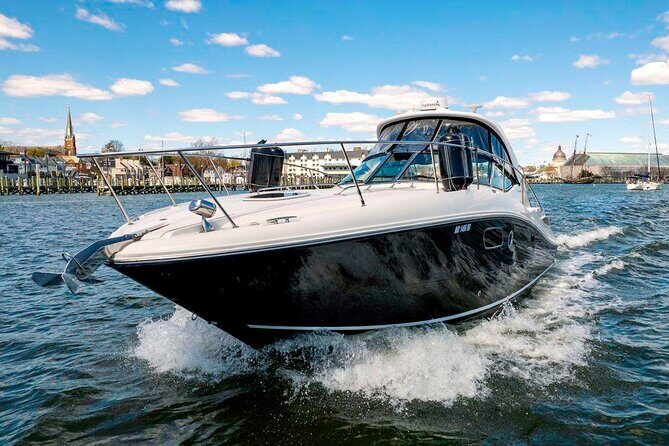 Private Express Cruise Tour in Punta Cana - Key Points