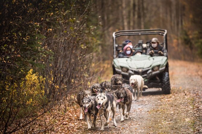 Private Fall Foliage Mushing Cart Ride in Fairbanks - Dressing for the Elements