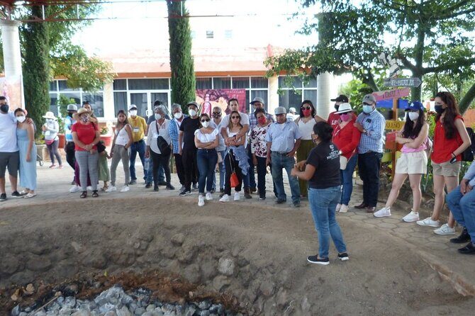 Private Family Tour visitng Mitla, Mezcal Factory, HIerve el Agua - Mezcal Factory: A Tasting of Local Tradition