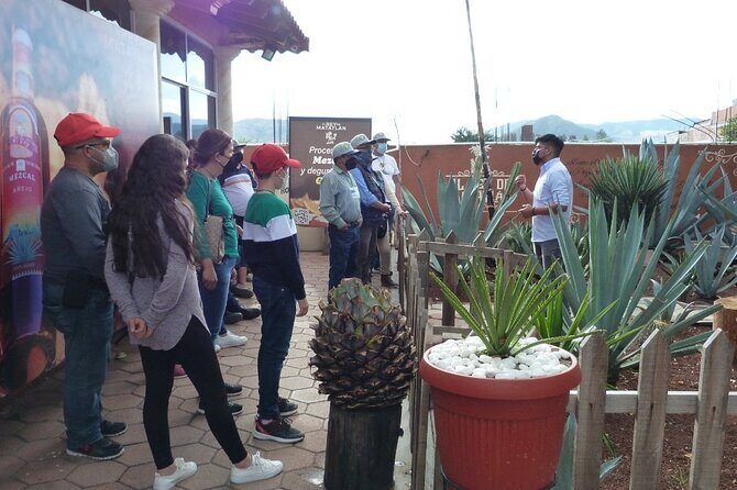 Private Family Tour visitng Mitla, Mezcal Factory, HIerve el Agua - Practical Details That Matter
