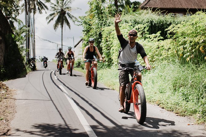 Private Fat Tire E-Bike Tour in Ubud - Whats Included