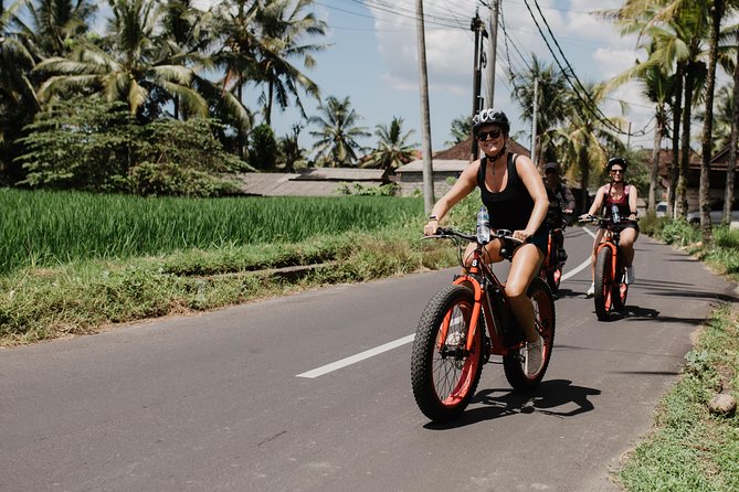 Private Fat Tire E-Bike Tour in Ubud - Customer Experiences