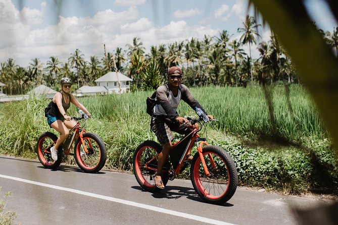 Private Fat Tire E-Bike Tour in Ubud - Customizable Routes