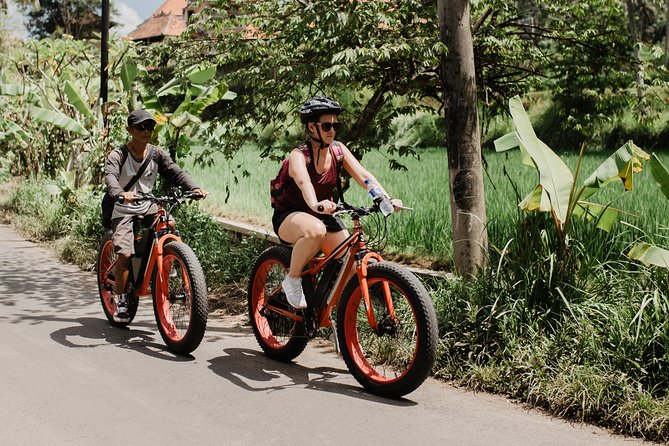 Private Fat Tire E-Bike Tour in Ubud - Booking Information
