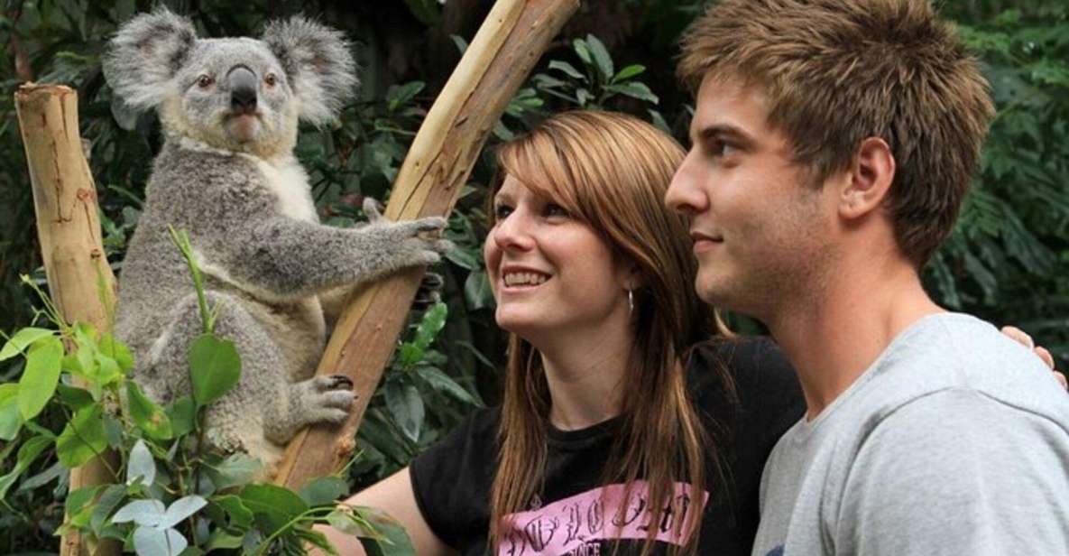 PRIVATE Featherdale Zoo Blue Mountains Scenic World Tour - Pricing and Inclusions