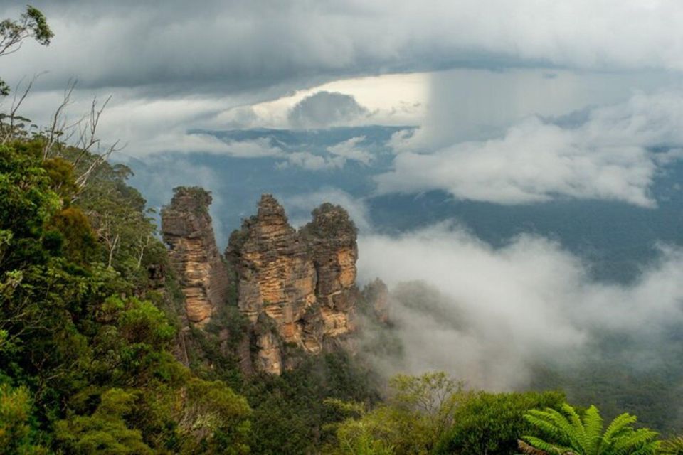 PRIVATE Featherdale Zoo Blue Mountains Scenic World Tour - Important Information for Participants