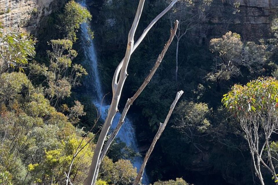 PRIVATE Featherdale Zoo Blue Mountains Scenic World Tour - Frequently Asked Questions