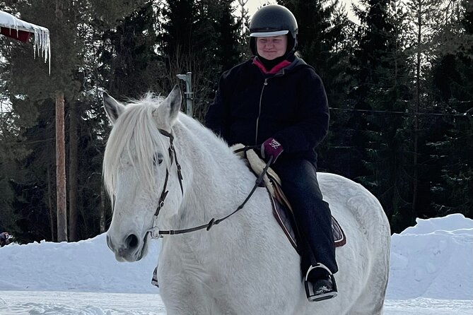 Private Finnhorse Riding in Rovaniemi, Finland With Guide - Cancellation Policy Highlights