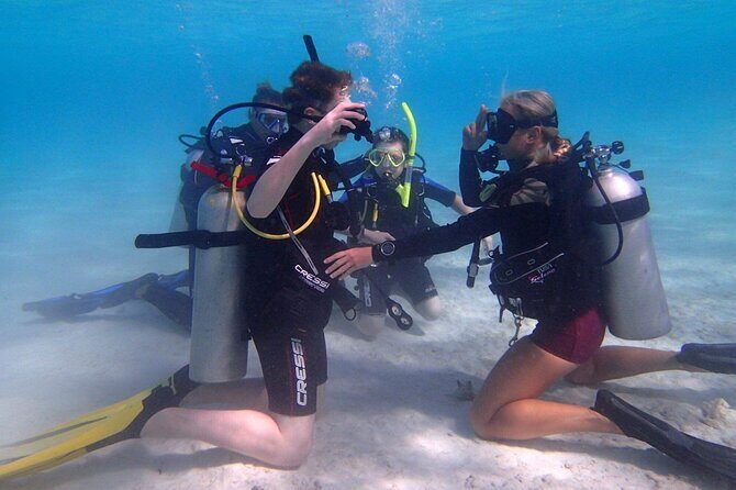 Private First-Time Dive on Arubas Reef and Wreck Site - Introduction