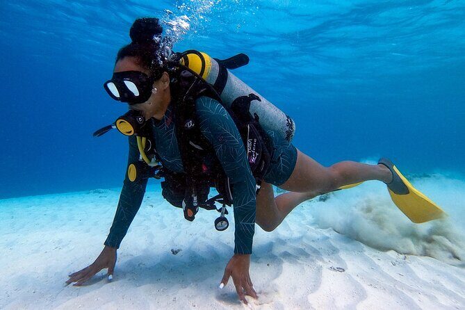 Private First-Time Dive on Arubas Reef and Wreck Site - What You’ll See and Experience