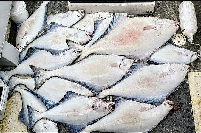 Private Fishing Adventure in Icy Strait Hoonah Alaska - The Itinerary and Experience