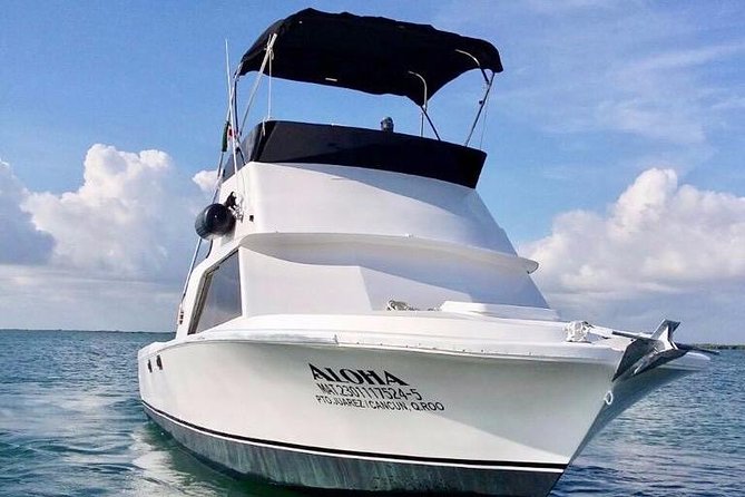 Private Fishing Charter Bertram 31FT 6 Pax Max if You Dont Fish You Dont Pay - Participant Experience