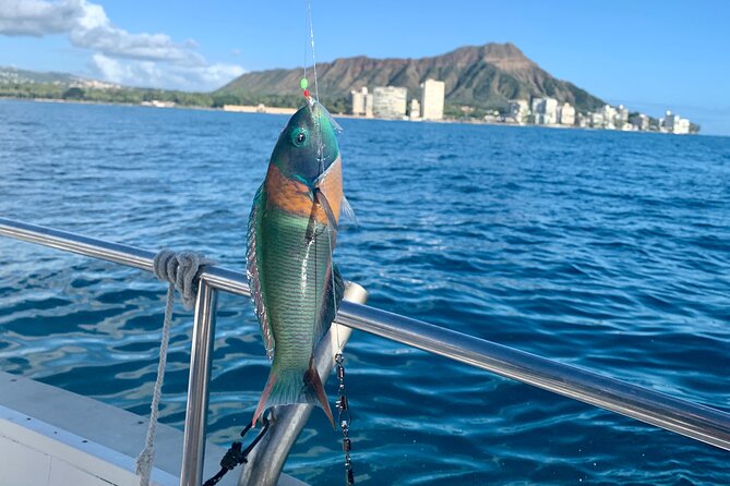 Private Fishing Charter for Family and Friends in Honolulu - Fishing Charters Offered