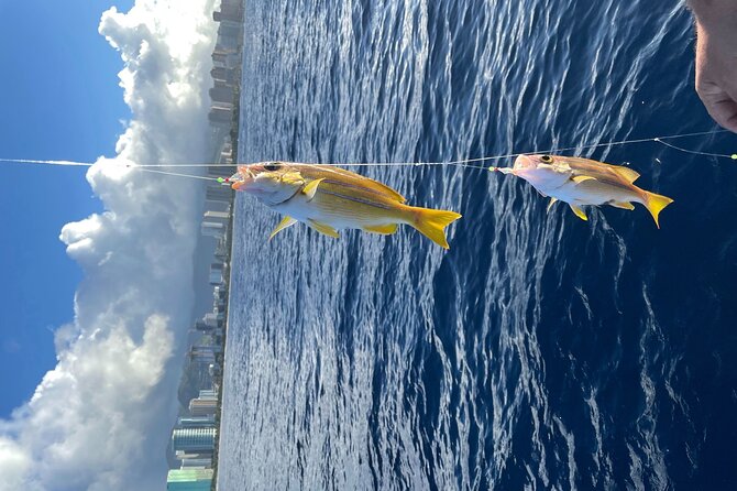 Private Fishing Charter for Family and Friends in Honolulu - Pricing and Booking