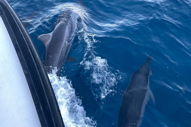 Private Fishing Charter for Family and Friends in Honolulu - Preparing for Your Trip