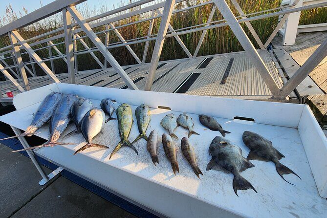 Private Fishing Charter in North Myrtle Beach - The Experience: What You Can Expect