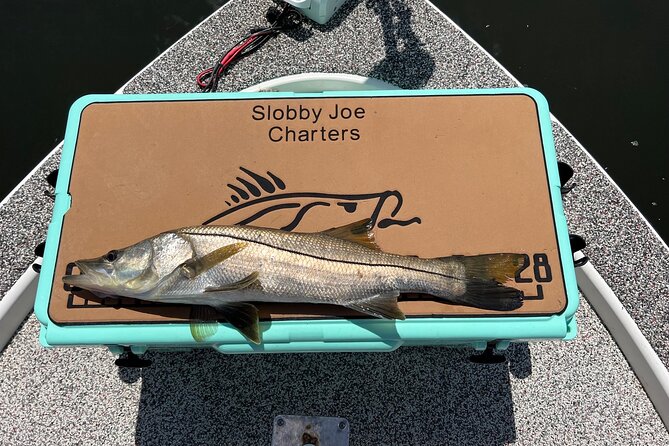 Private Fishing Charter in Tampa - Customer Reviews and Ratings