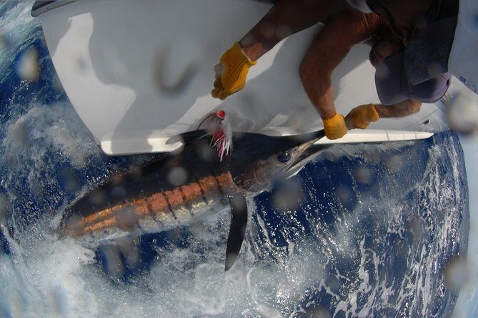 Private Fishing in St Lucia Charters - The Sum Up