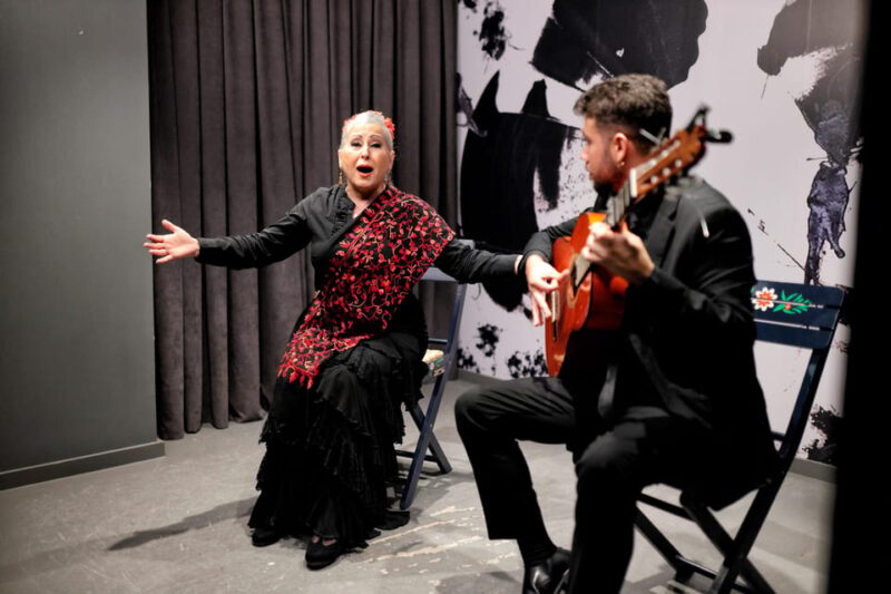 Private Flamenco Show in the Center of Seville (Max 30 Pax) - Opportunity to Meet Artists