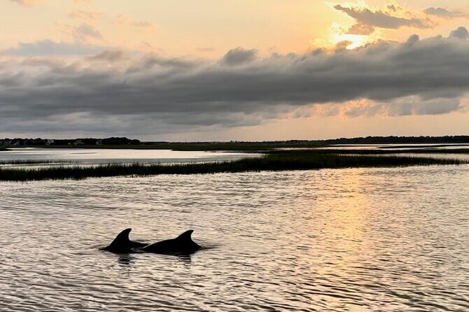 Private Folly River Sunset Dolphin Cruise - Exploring the Private Folly River Sunset Dolphin Cruise: A Genuine Look