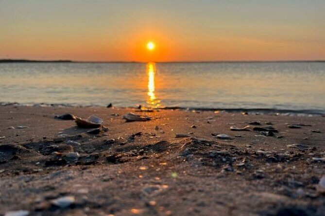 Private Folly River Sunset Dolphin Cruise - Final Thoughts