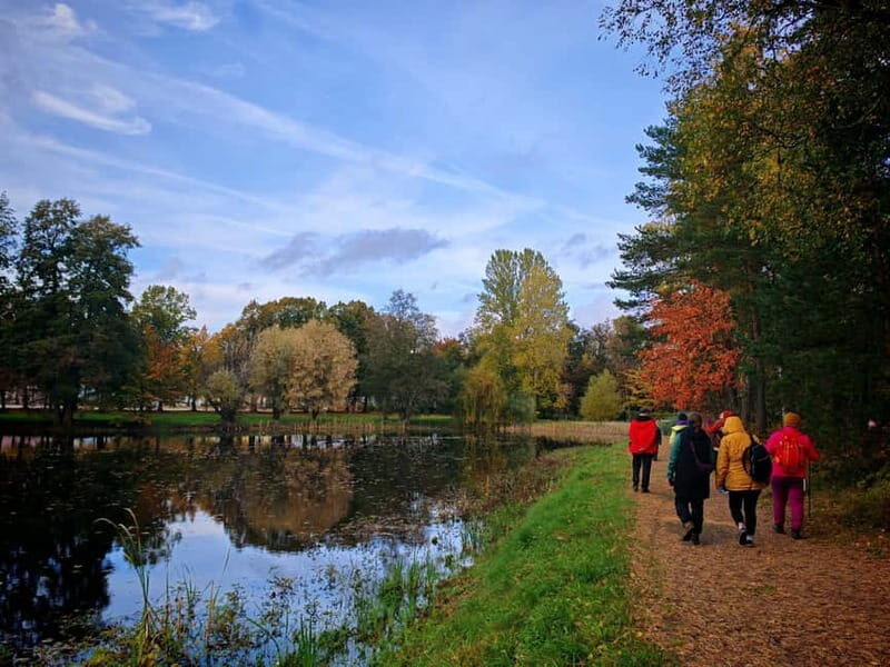 Private Forest Mind Tour in Tampere - An Introduction to the Forest Mind Experience