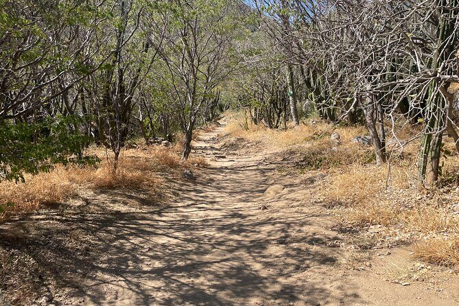 Private Fox Canyon plus Sol de Mayo Waterfall Tour - Authentic Experiences and What Travelers Say