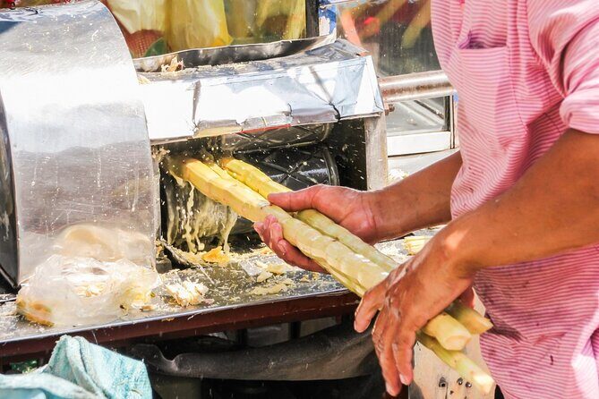 Private French Caribbean Rum Tour with Tastings - What Travelers Say