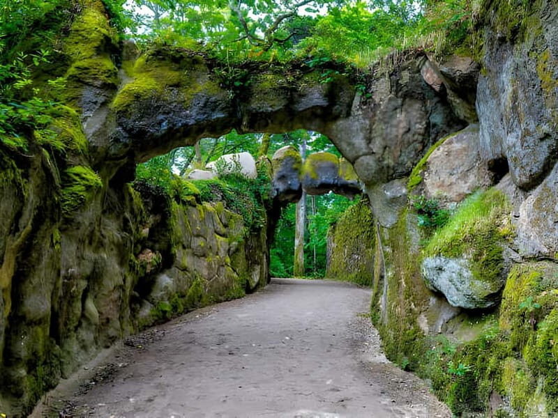 Private from Lisbon: Sintra, Quinta Regaleira, Monserrate + - Transportation and Comfort