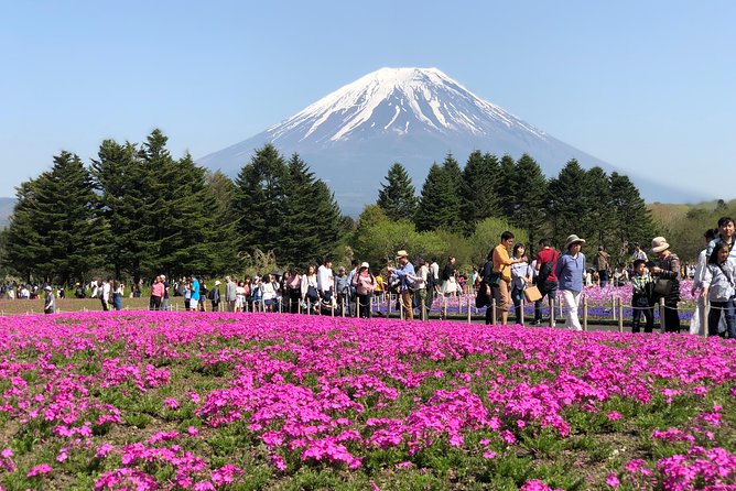 Private Fuji Exploration With Photography ENGLISH SPEAKING - Getting to the Destination