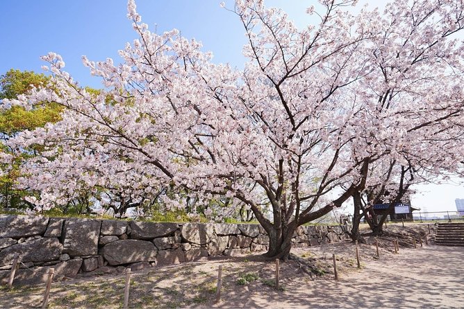 Private Fukuoka Tour With a Local, Highlights & Hidden Gems 100% Personalised - Cancellation Policy