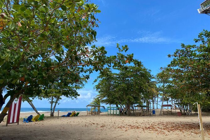 Private Full Day Aguadilla Sightseeing Tour - The Sum Up