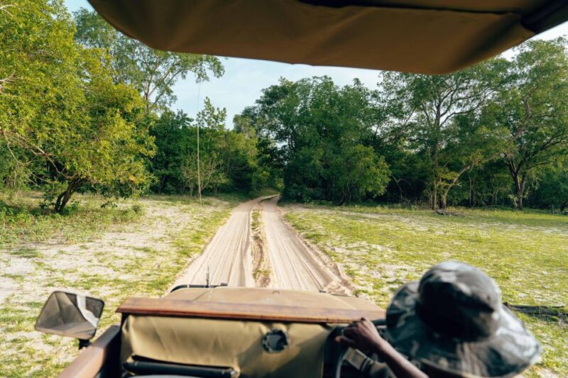 Private Full Day Aquila Safari Tour - Good To Know
