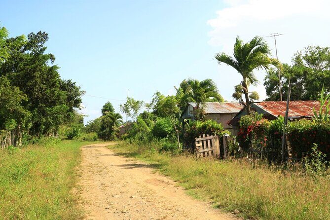 Private Full-Day at Los Haitises National Park - Who Will Love This Tour?