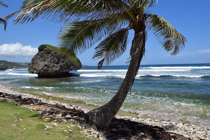 Private Full-Day Barbados Excursion - Authentic Experiences and Local Insights