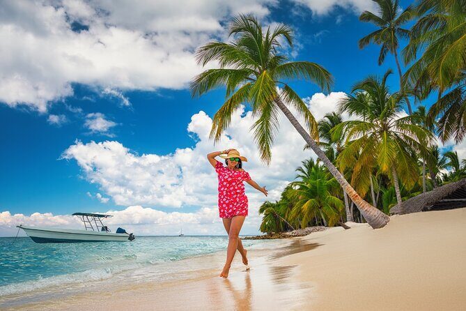 Private Full Day Beach Tour in Puerto Plata - Real Traveler Insights