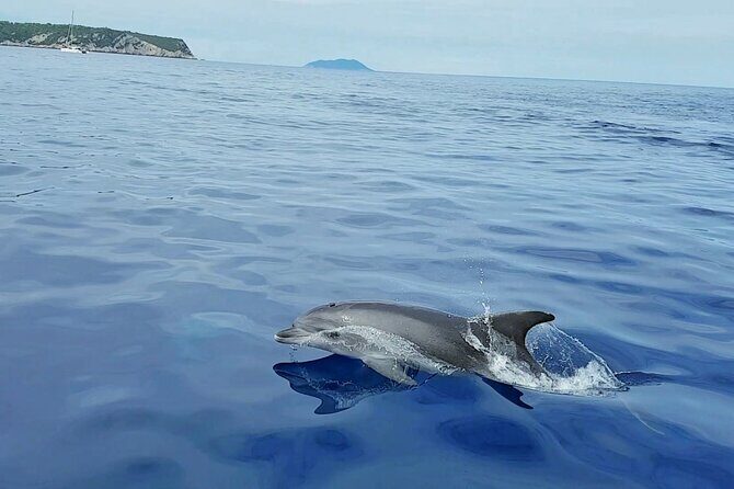 Private Full Day Boat Tour from Trogir - Create Your itinerary - Who Will Love This Tour?