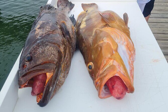 Private Full Day Bottom Fishing on Serendipity - Frequently Asked Questions