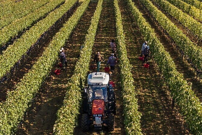 PRIVATE Full-Day Brunello Wine experience from Florence - Who Should Consider This Tour?