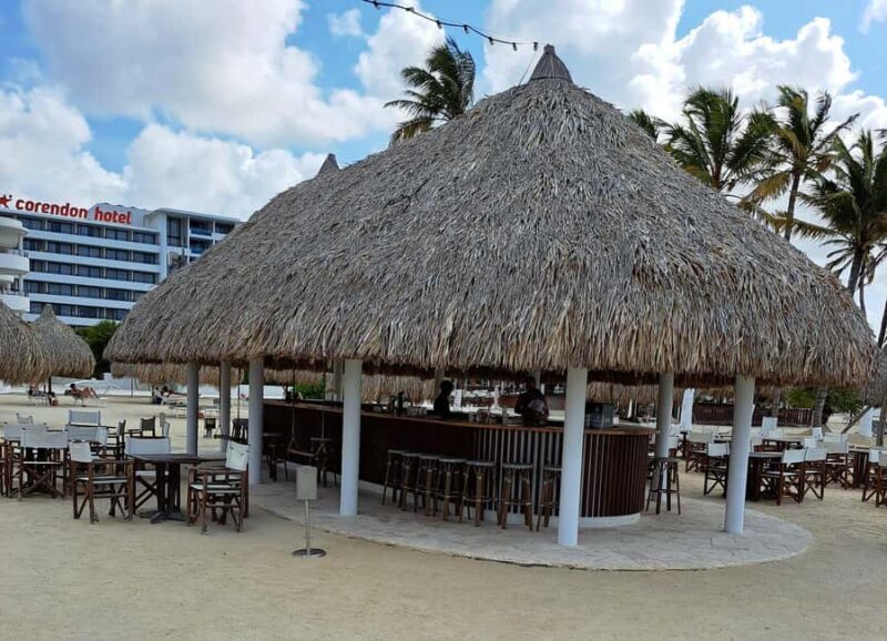 Private: Full-Day Catalina Reef & Beach Escape by Catamaran - Pricing, Value, and Practicalities