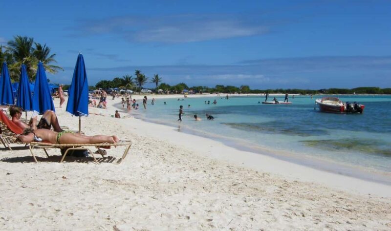 Private: Full-Day Catalina Reef & Beach Escape by Catamaran - The Sum Up