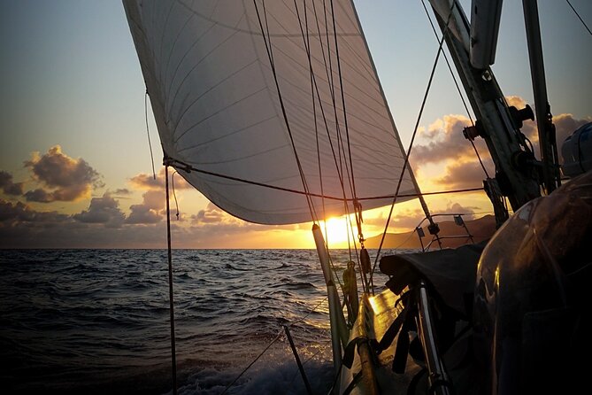Private Full Day Catamaran Cruise From Paros With Lunch - Included Lunch and Beverage Offerings