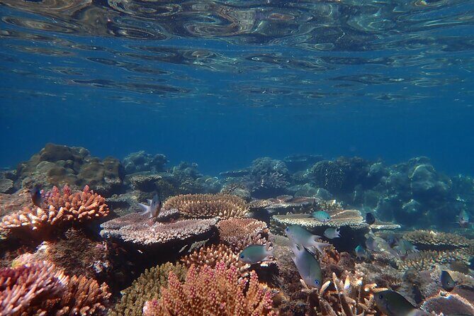 Private full day catered & crewed yacht charter- Airlie Beach - Frequently Asked Questions