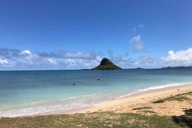 Private Full-Day Circle Island Guided Small-Group up to 6 (Se Habla Español) - Customer Testimonials