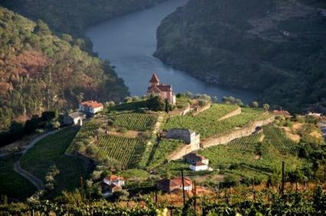 Private Full Day Douro Tour - Key Points